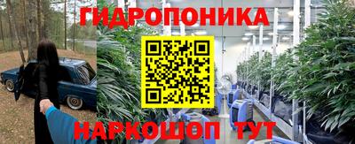 молекула духа Кулебаки