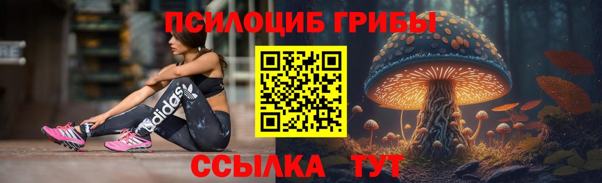 Воркута  Галлюциногенные грибы Psilocybe  Вход с VPN 